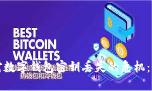 如何应对数字钱包密钥丢失的危机：全面指南