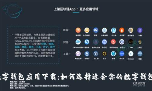 数字钱包应用下载：如何选择适合你的数字钱包？