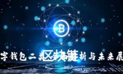 数字钱包二类：全面解析与未来展望