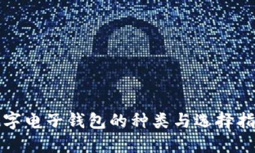 数字电子钱包的种类与选择指南