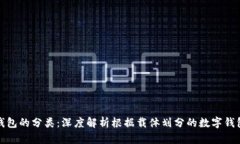 数字钱包的分类：深度解析根据载体划分的数字