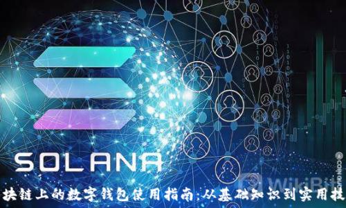   
区块链上的数字钱包使用指南：从基础知识到实用技巧