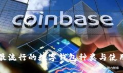 中国最流行的数字钱包种类与使用指南