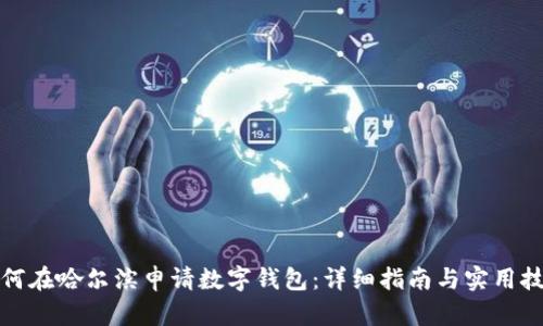 如何在哈尔滨申请数字钱包：详细指南与实用技巧