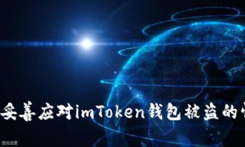 如何妥善应对imToken钱包被盗的情况？