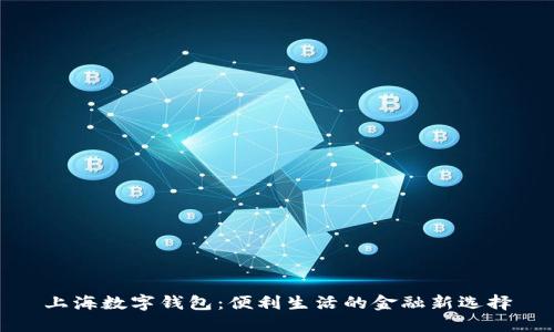 上海数字钱包：便利生活的金融新选择