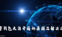 数字钱包无法开通的原因及解决方案