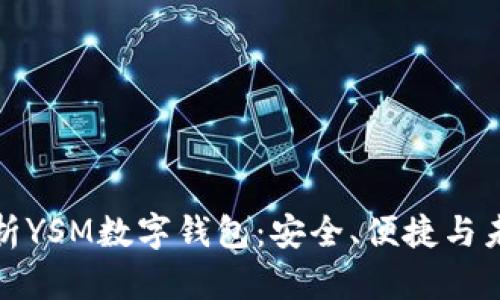 全面解析YSM数字钱包：安全、便捷与未来趋势