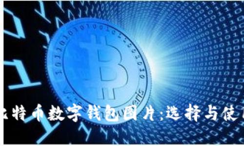 高清比特币数字钱包图片：选择与使用指南