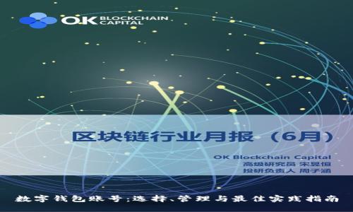数字钱包账号：选择、管理与最佳实践指南