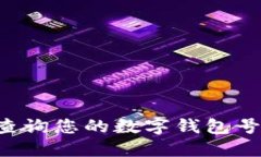 如何高效查询您的数字钱包号：全面指南
