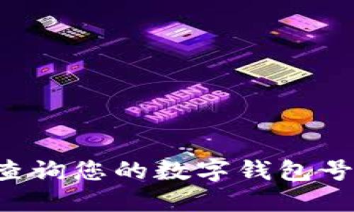 如何高效查询您的数字钱包号：全面指南