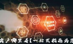 数字钱包商户哪里看？一站式指南为您详细解析