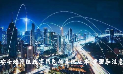 如何安全地降级数字钱包的系统版本：步骤和注意事项