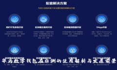 华为数字钱包在非洲的使用解析与发展前景