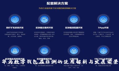 华为数字钱包在非洲的使用解析与发展前景
