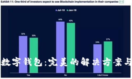 如何接入数字钱包：完美的解决方案与实用指南