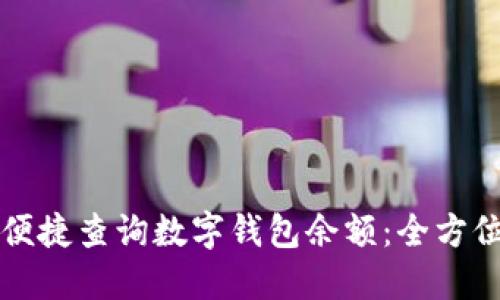 如何便捷查询数字钱包余额：全方位指南