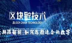 数字钱包借款期限解析：如何选择适合的数字钱