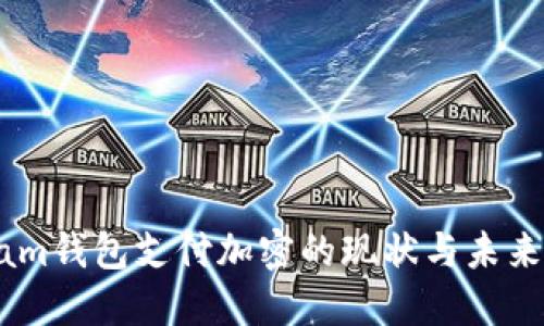 Steam钱包支付加密的现状与未来展望