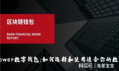 : DPPower数字钱包：如何选择和使用适合你的数字钱包