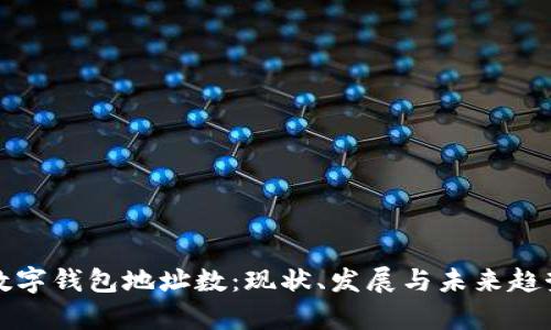 全球数字钱包地址数：现状、发展与未来趋势分析