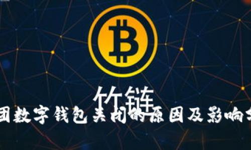 美团数字钱包关闭的原因及影响分析