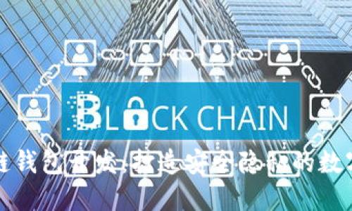 去中心化区块链钱包开发：打造安全隐私的数字资产管理工具