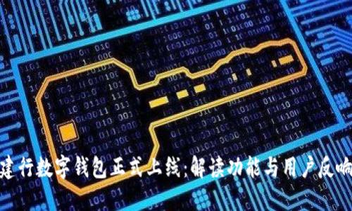 建行数字钱包正式上线：解读功能与用户反响