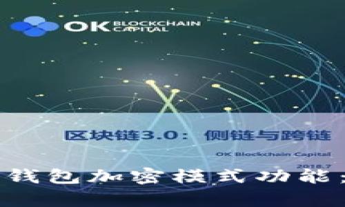 如何开启钱包加密模式功能：全面指南