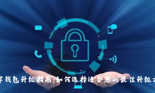 数字钱包升级指南：如何选择适合您的最佳升级方案
