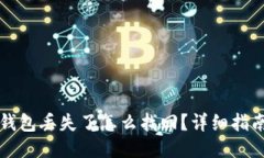区块链钱包丢失了怎么找回？详细指南与技巧