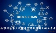 数字钱包客户钱包异常问题详解及解决方案