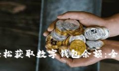 如何轻松获取数字钱包余额：全面指南