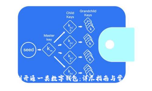 如何顺利开通一类数字钱包：详尽指南与常见问题解答