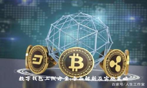 数字钱包上线方案：全面解析及实施策略