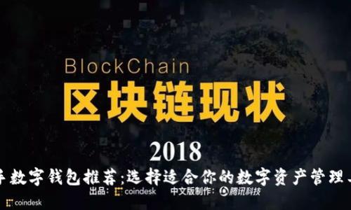 新手数字钱包推荐：选择适合你的数字资产管理工具