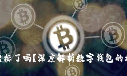 数字钱包利息超标了吗？深度解析数字钱包的利息收益与风险