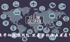 最早的数字钱包：发展历程与未来展望