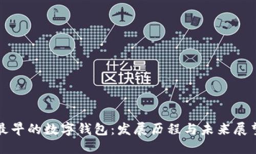 最早的数字钱包：发展历程与未来展望