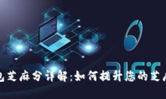  数字钱包芝麻分详解：如何提升您的芝麻信用分