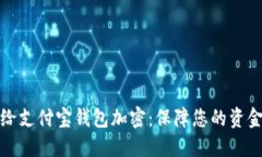 如何给支付宝钱包加密：保障您的资金安全