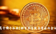 数字钱包属于哪个机构？探索其主题与背后的金