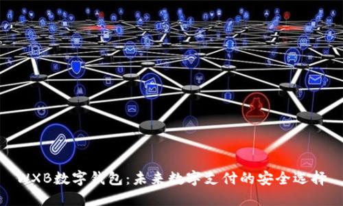 WXB数字钱包：未来数字支付的安全选择