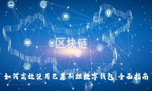 如何高效使用巴基斯坦数字钱包：全面指南