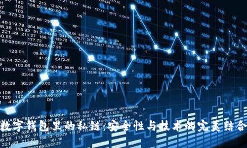 数字钱包里的私链：安全性与技术的完美结合
