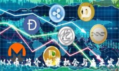   IMX币：简介、投资机会与未来发展