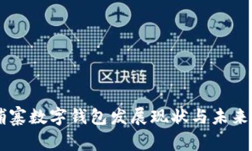 柬埔寨数字钱包发展现状与未来展望