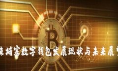 柬埔寨数字钱包发展现状与未来展望