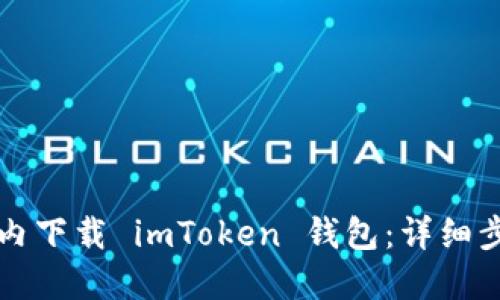 如何在国内下载 imToken 钱包：详细步骤与指南